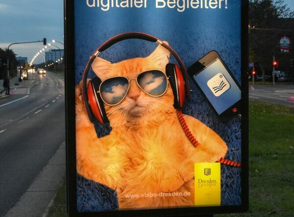 Foto eines beleuchteten Werbeplakates für die eBibo. Es steht am Straßenrand.