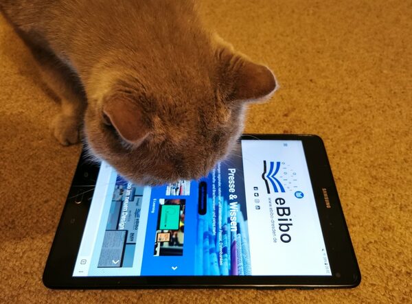 Foto einer Katze die ein Tablet beschnuppert. Auf dem Tablet ist die neue eBibo-Website zu sehen.