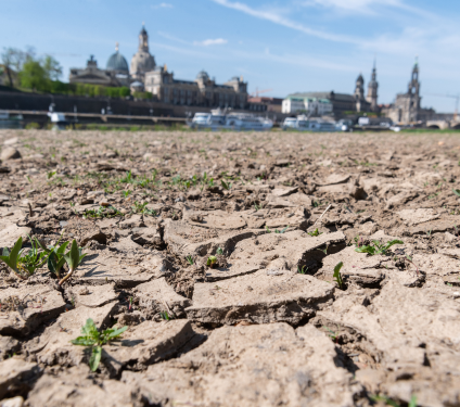 Dresden und das Wetter