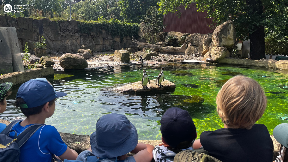 20250618_Lesestark_Zoo_Pinguin.png