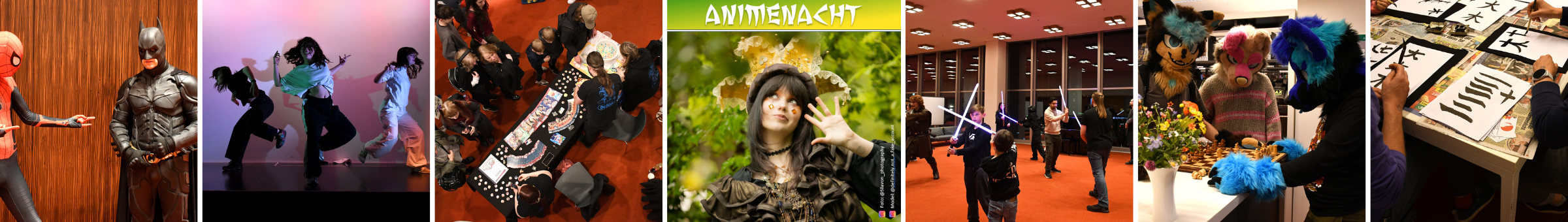 Banner Animenacht 2026