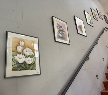 Ausstellung: 'Natur erleben' 