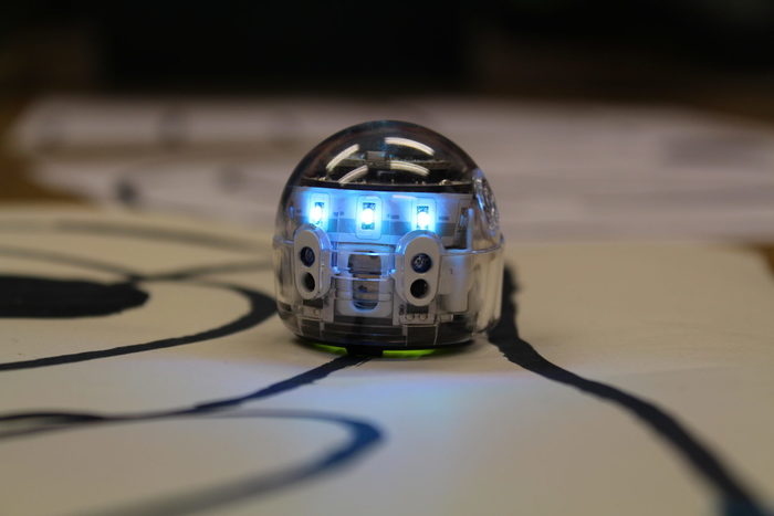 Ozobot, welcher auf einer schwarzen Linie steht.