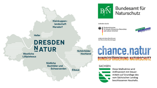 DresdenNatur-KARTE Projektgebiete-NEBELBLAU-HELL-RGB.png